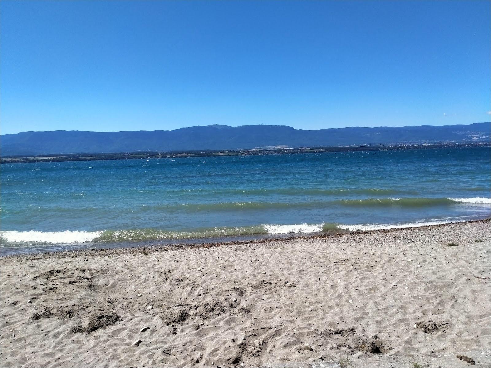 Plage de Tougues