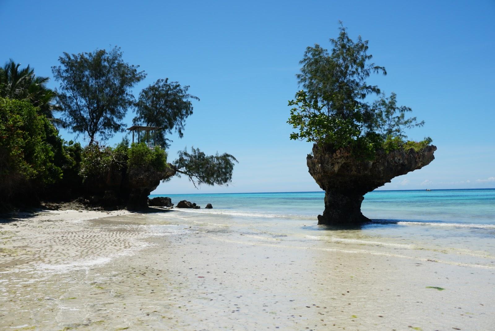 Pemba Island Beach