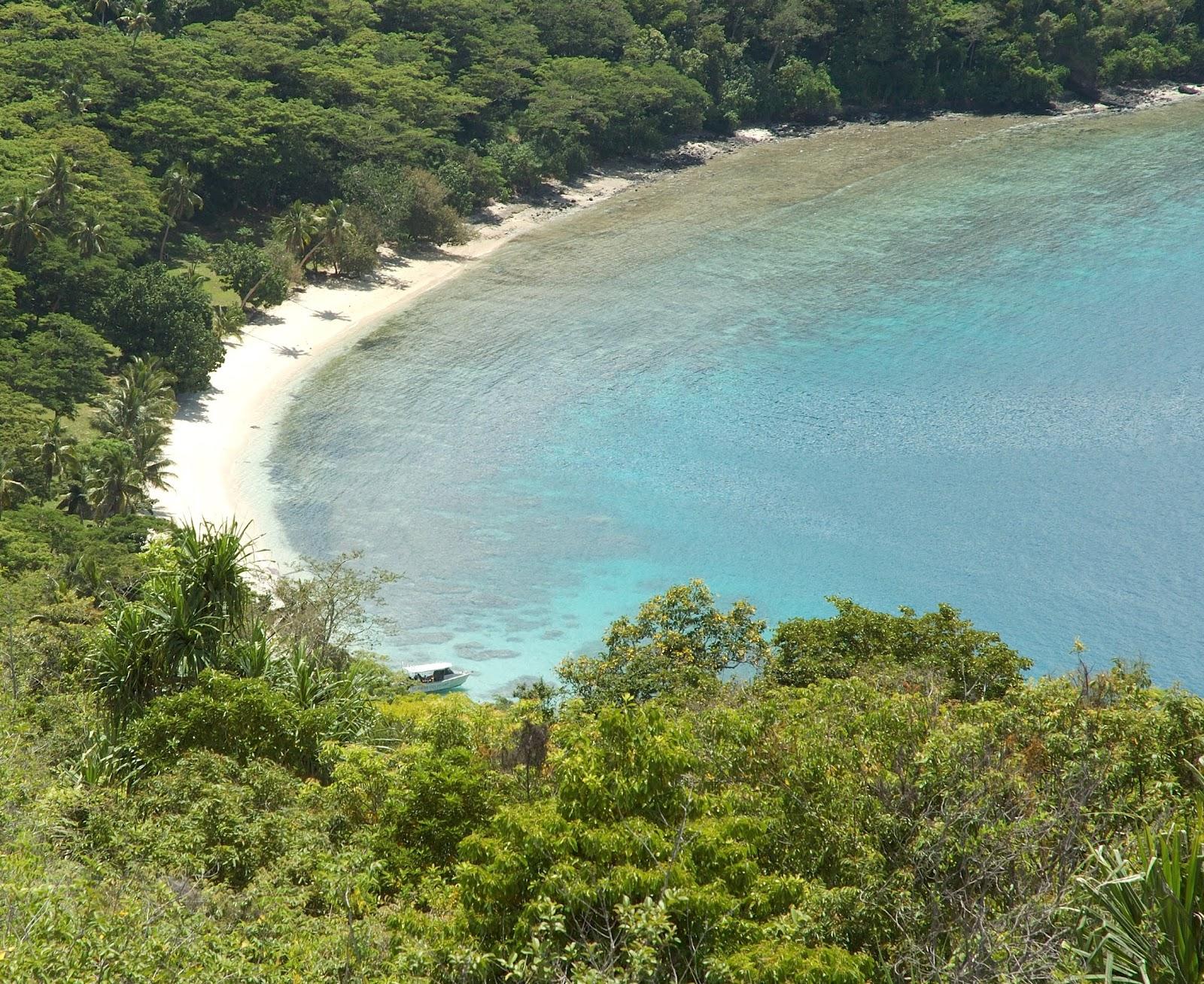 Waitatavi Bay Beach