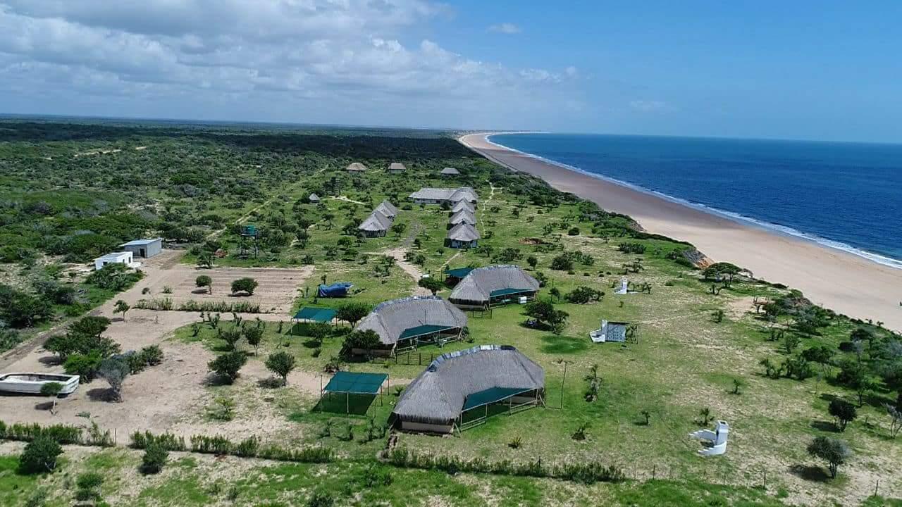 Laisse Beach II