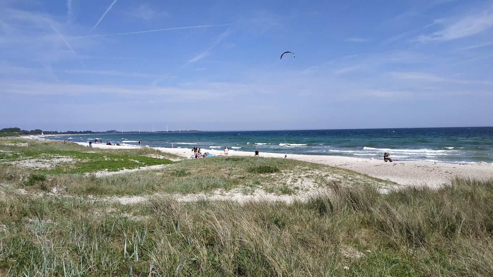 Skovmose strand