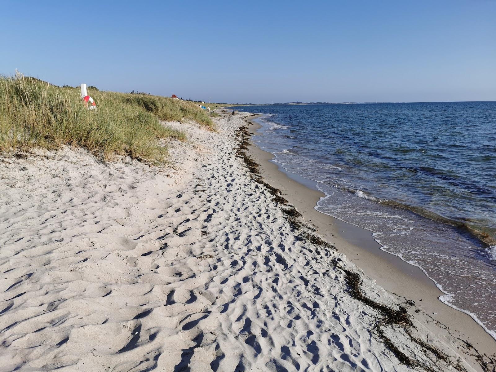 Bjornhoj Beach