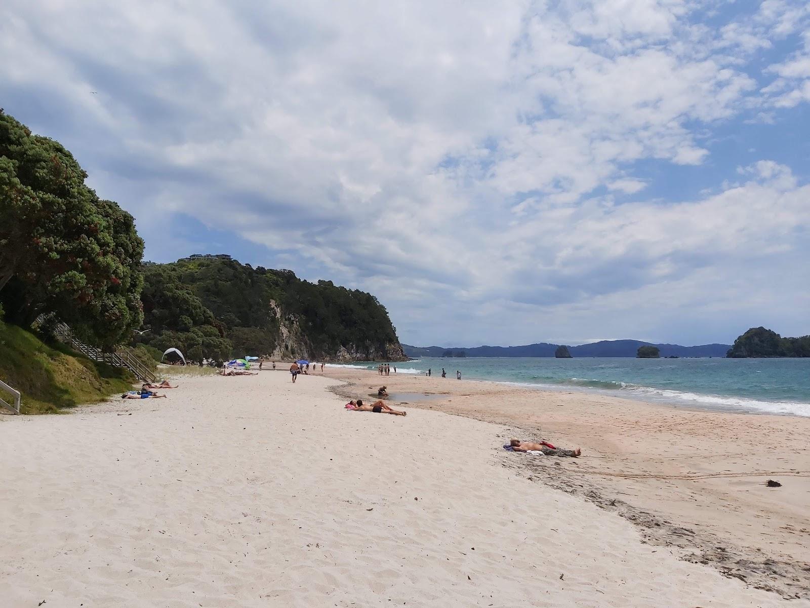 Hahei Beach