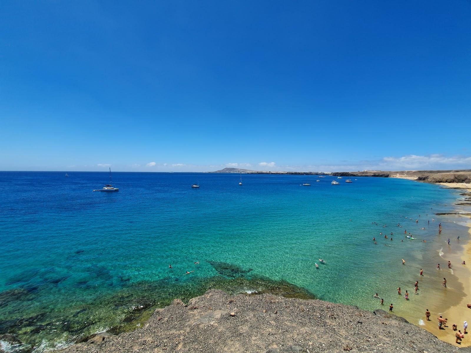 Playa Caleta del Congrio