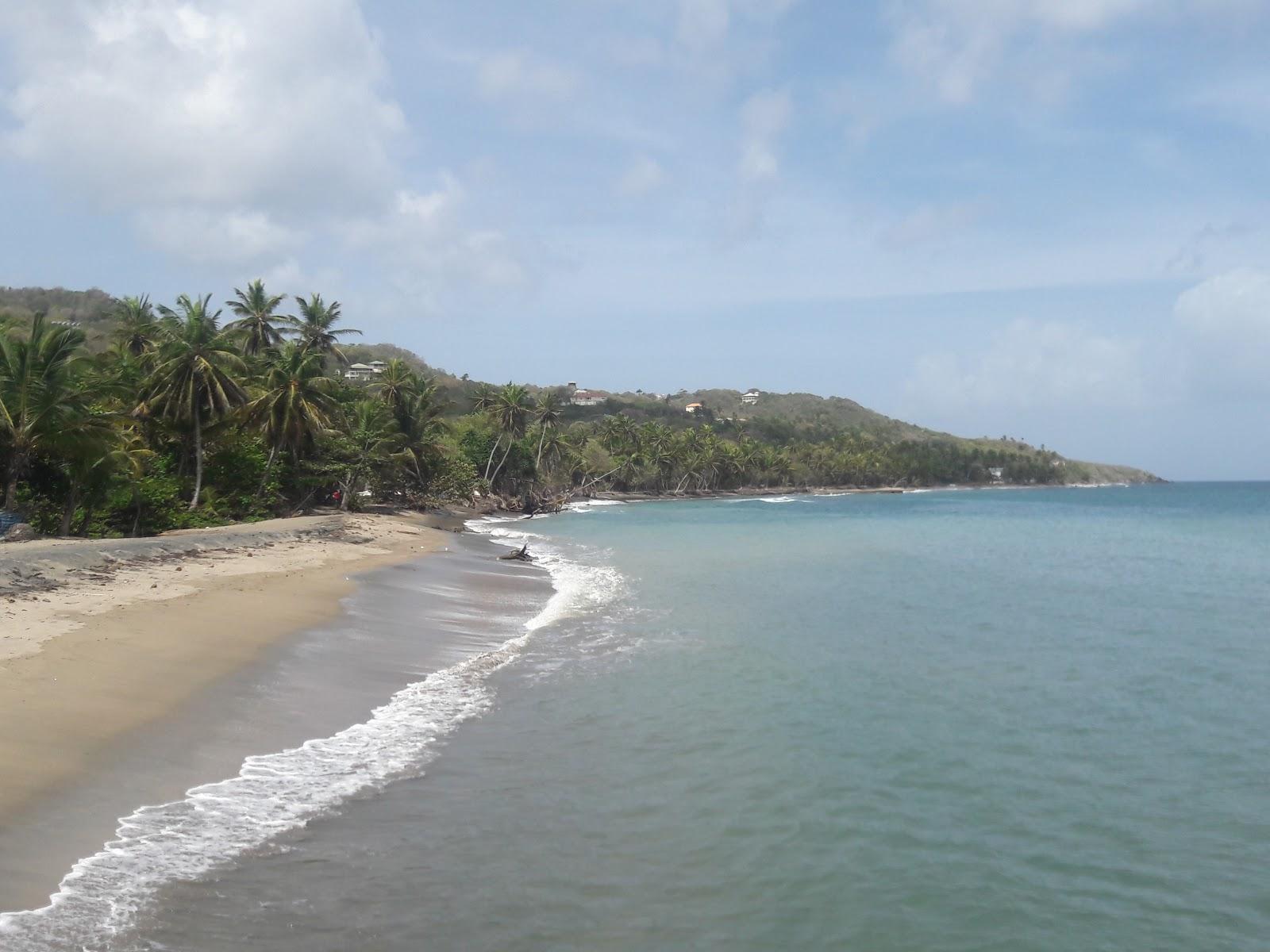 Sauteurs beach
