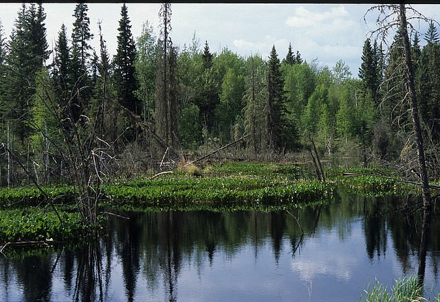 Call Lake Provincial Park