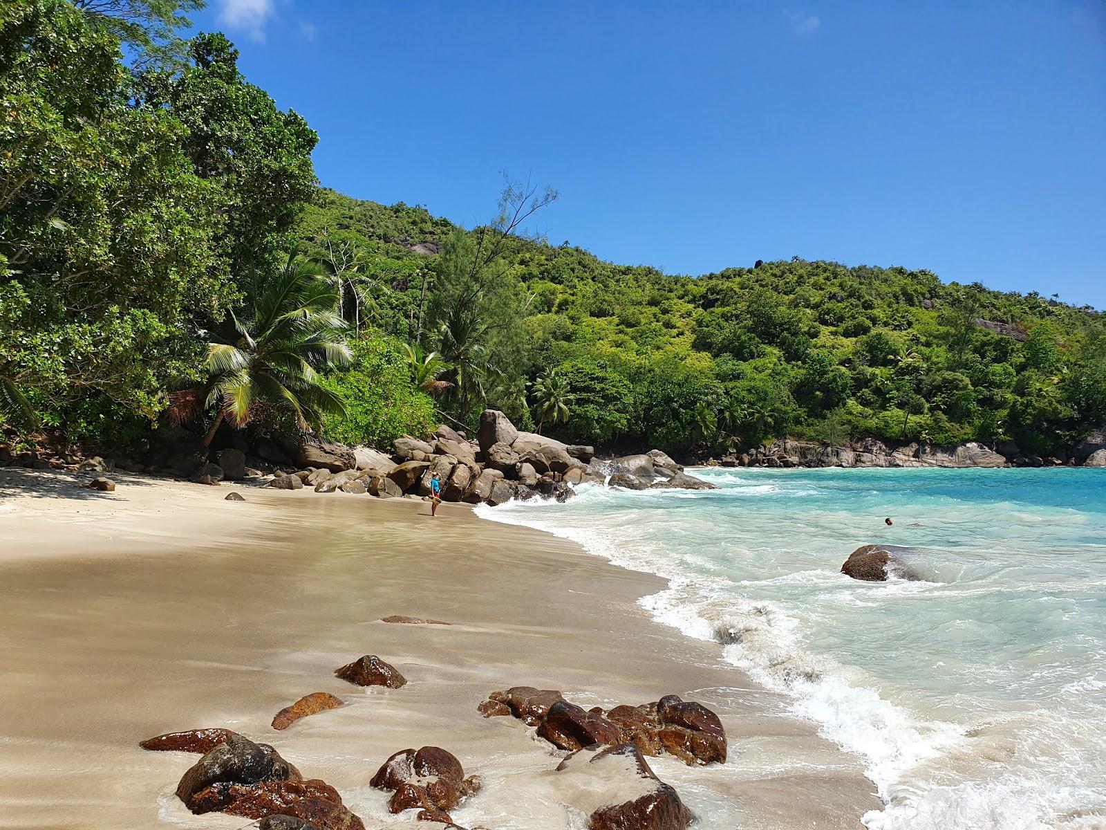 Anse Major Beach