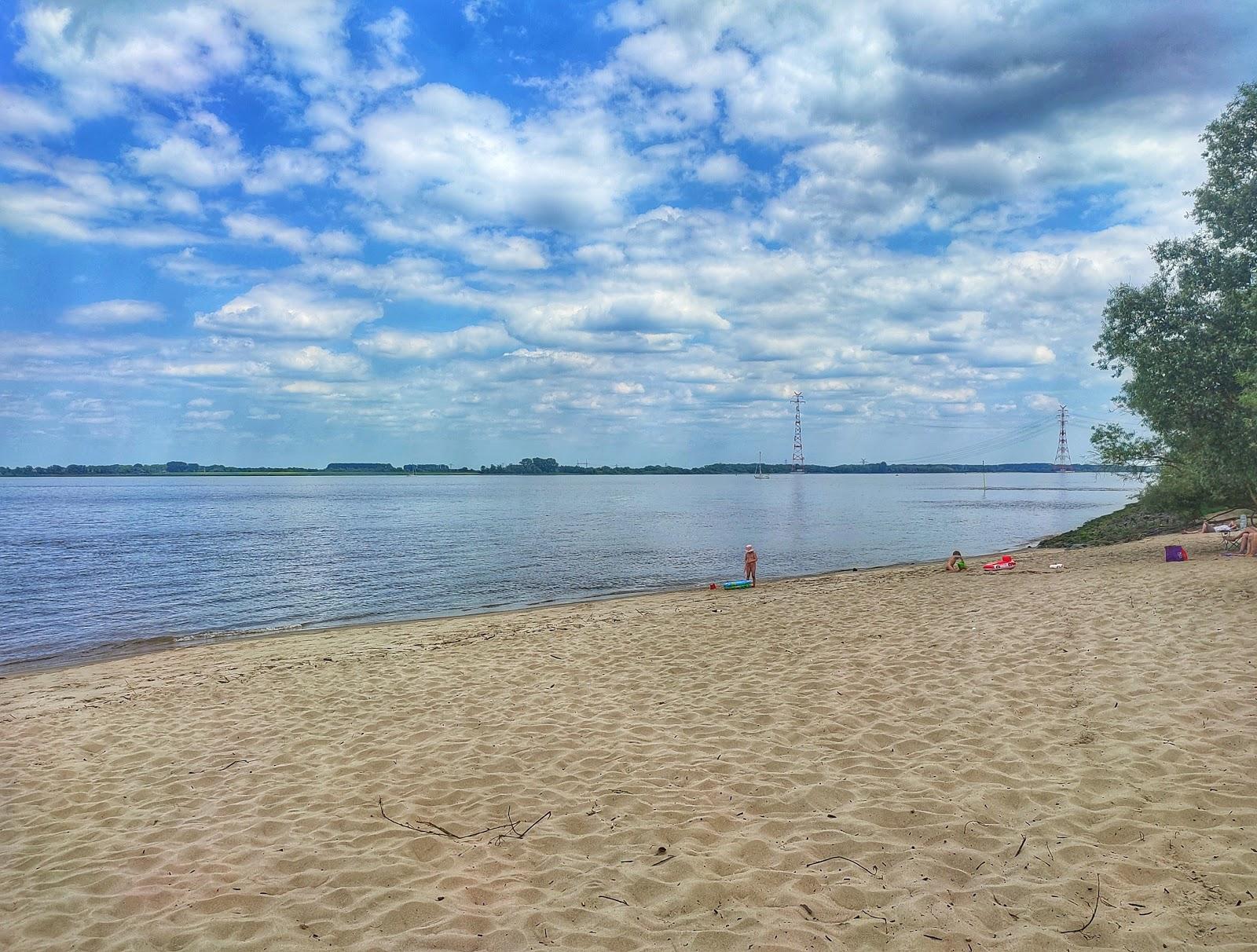 Bassenfleth Elbstrand