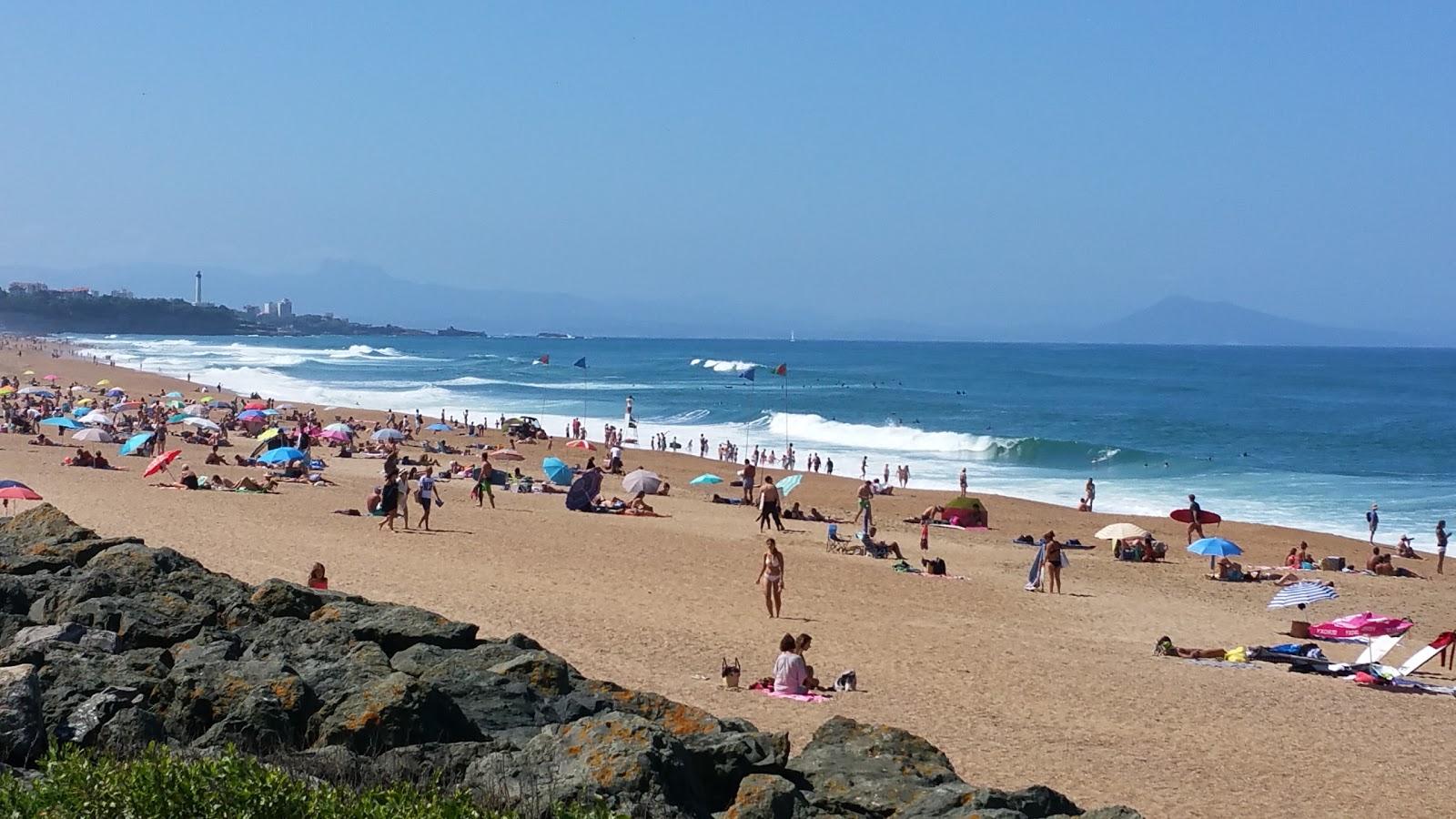 Cavalier Beach