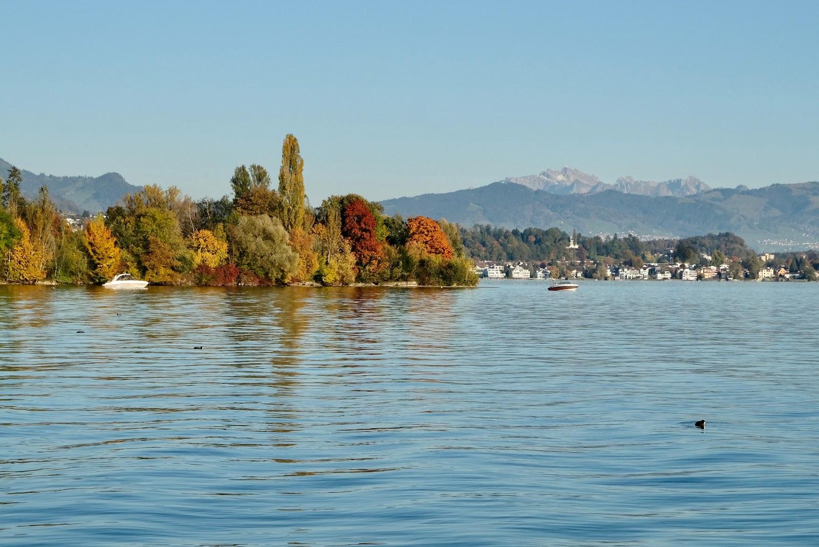 Schirmensee Strand
