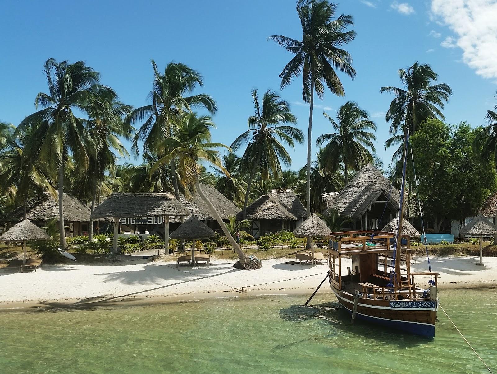 Mafia Island Beach