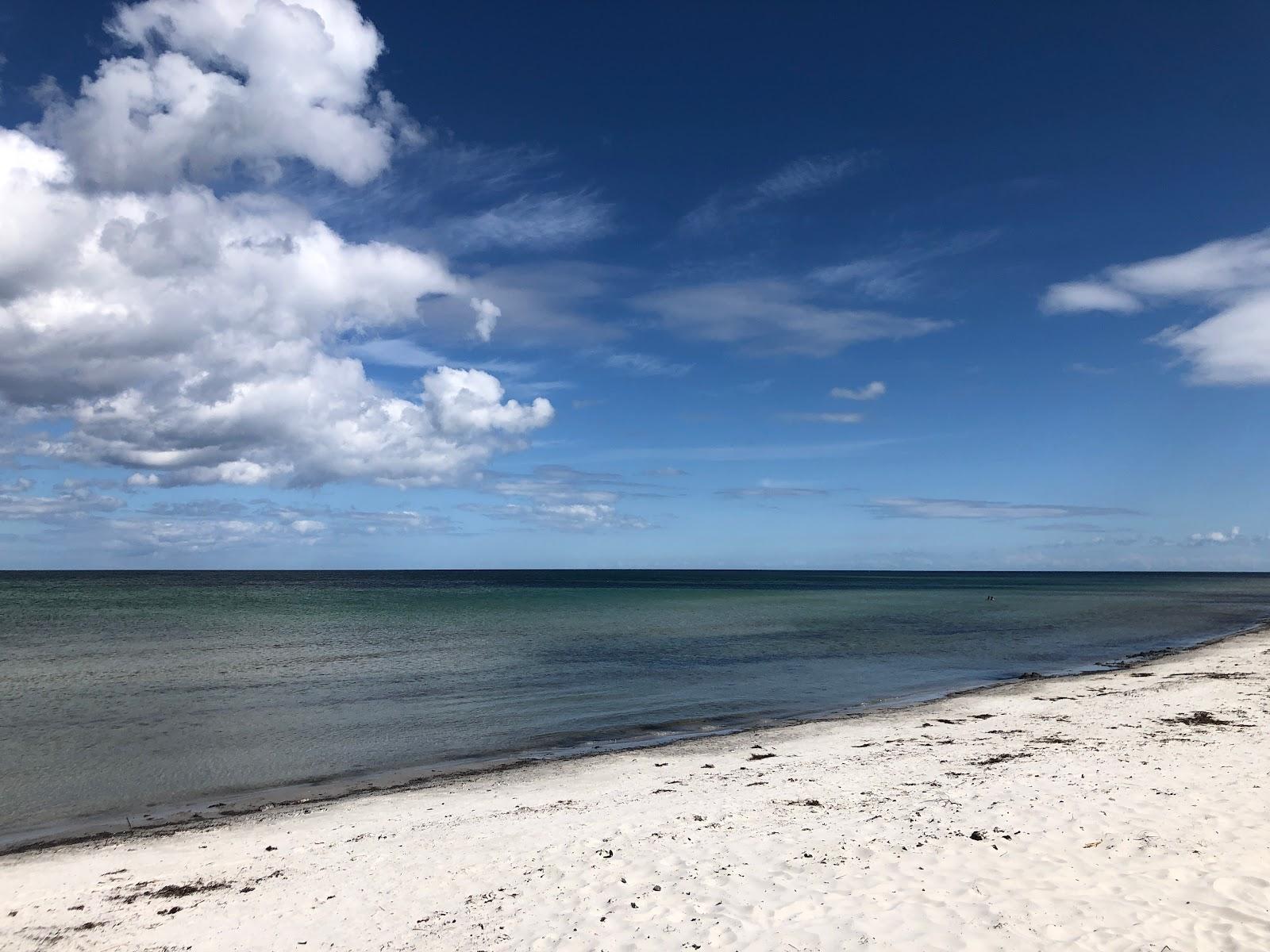 Snogebaek Strand