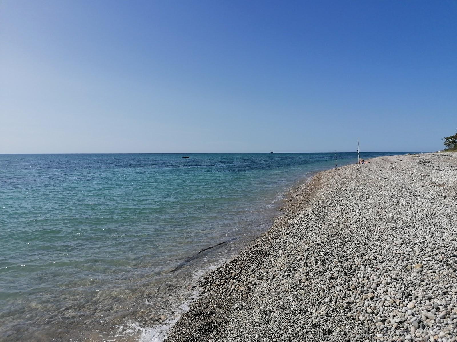 Gudauta beach