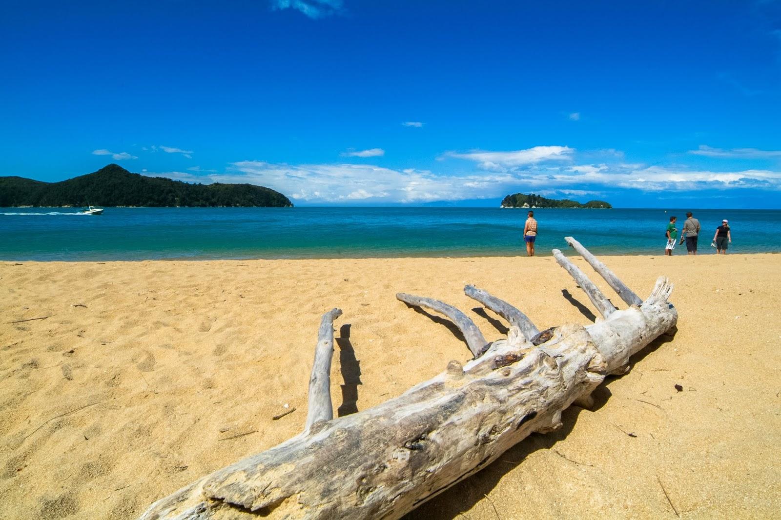 Ngaio Bay Beach