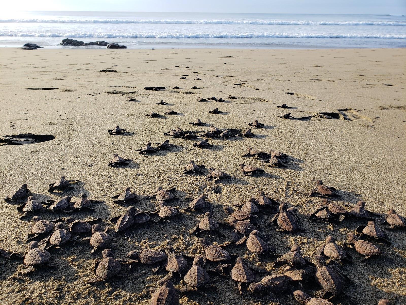 Panamaes Beach