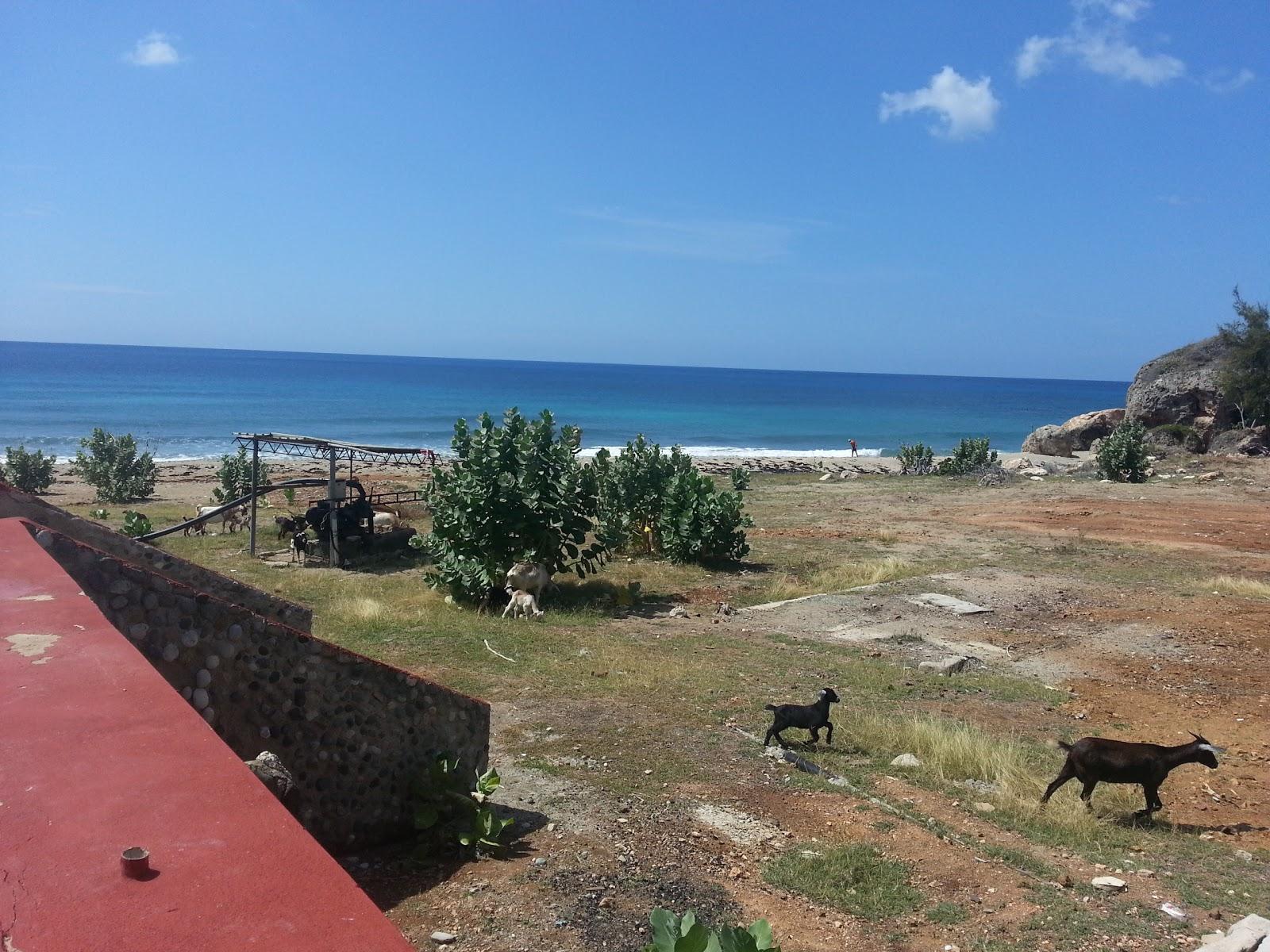 Playa Larga