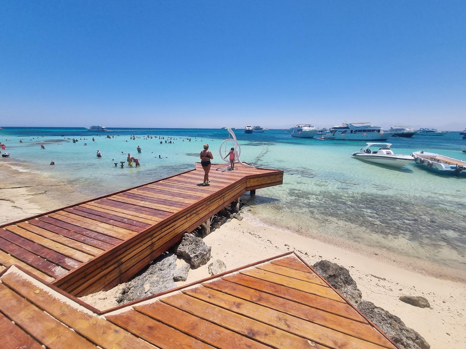 Paradise Island