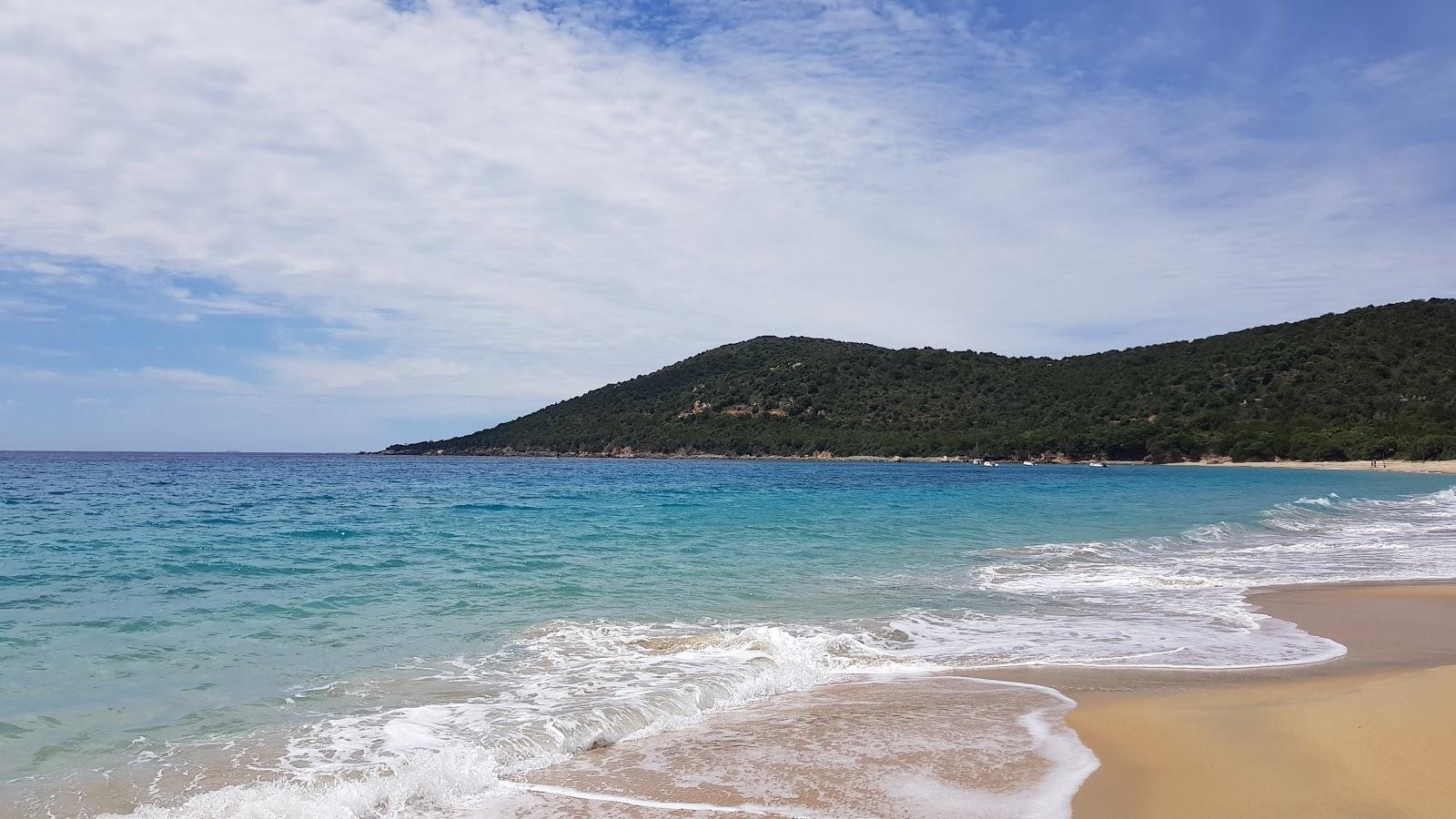 Tralicetu beach
