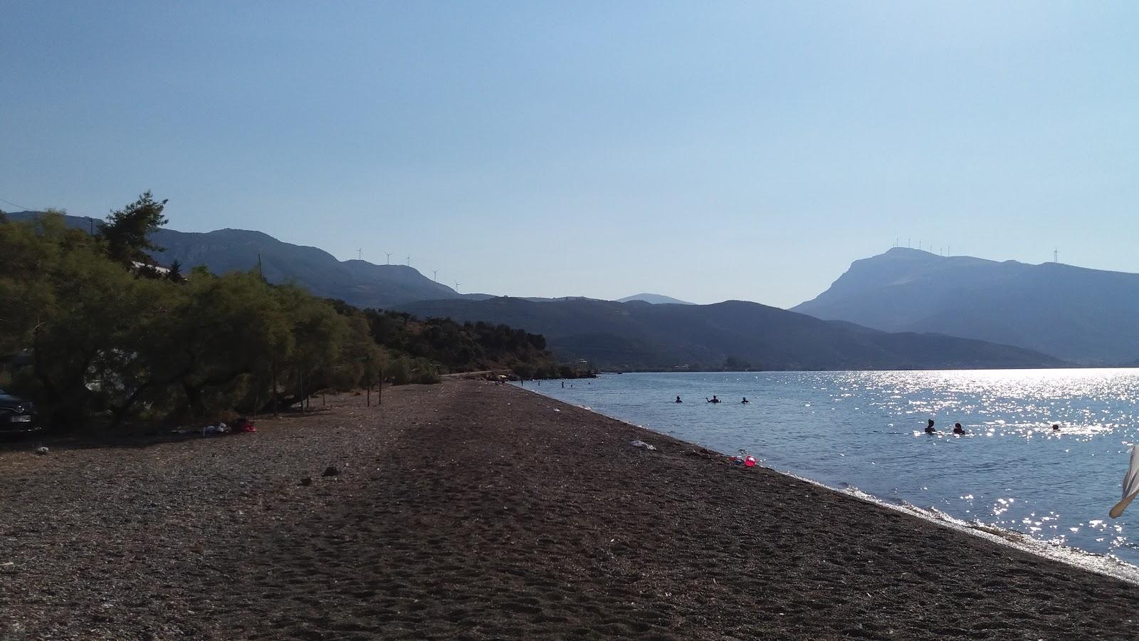 Dariza Metamorfosis beach