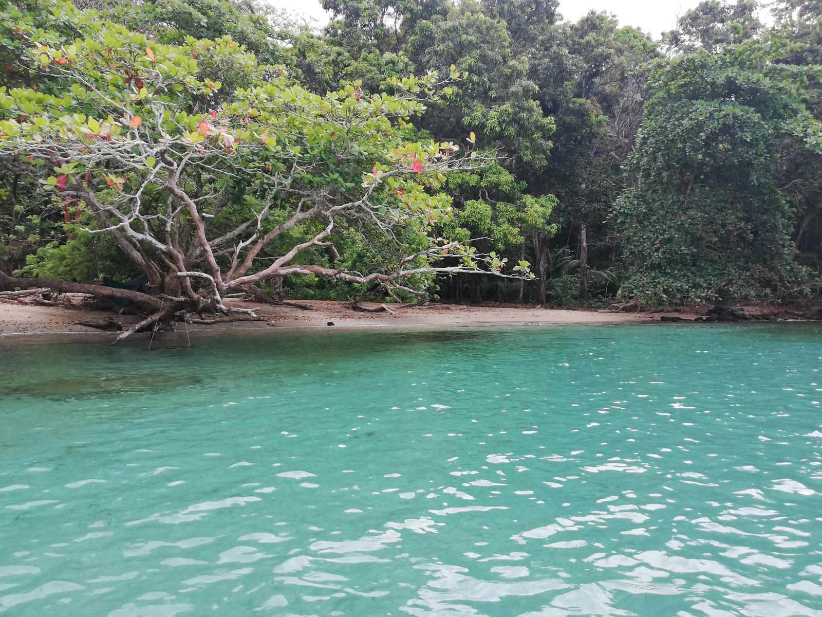 Huerta Portobelo Beach