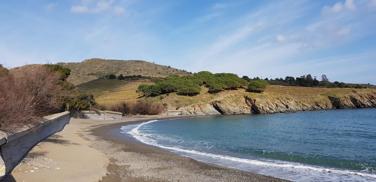 Bernardi beach