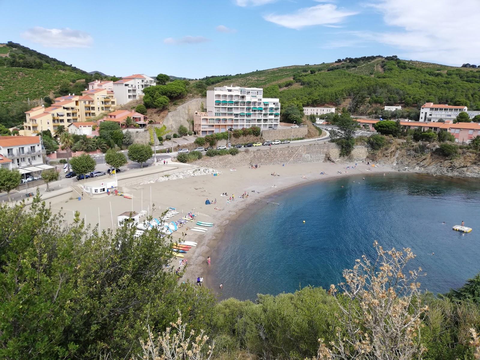 Elmes beach