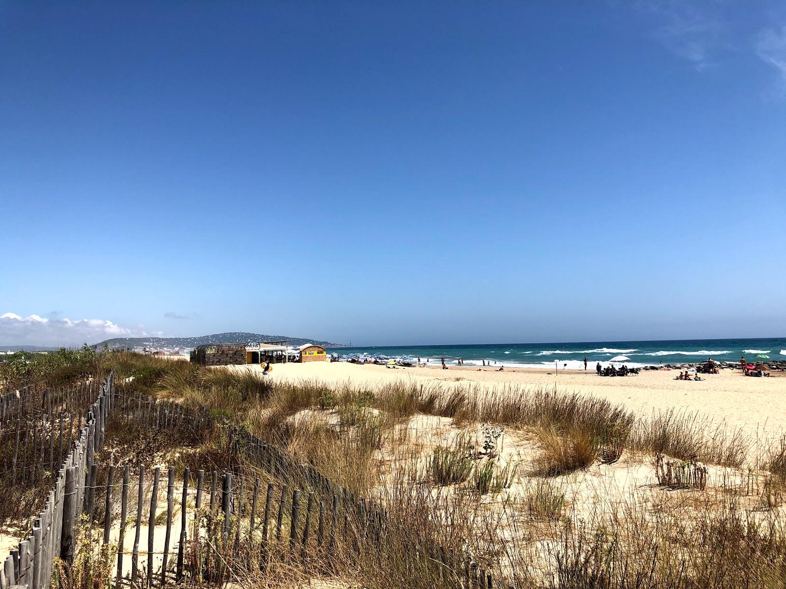 Whale Beach