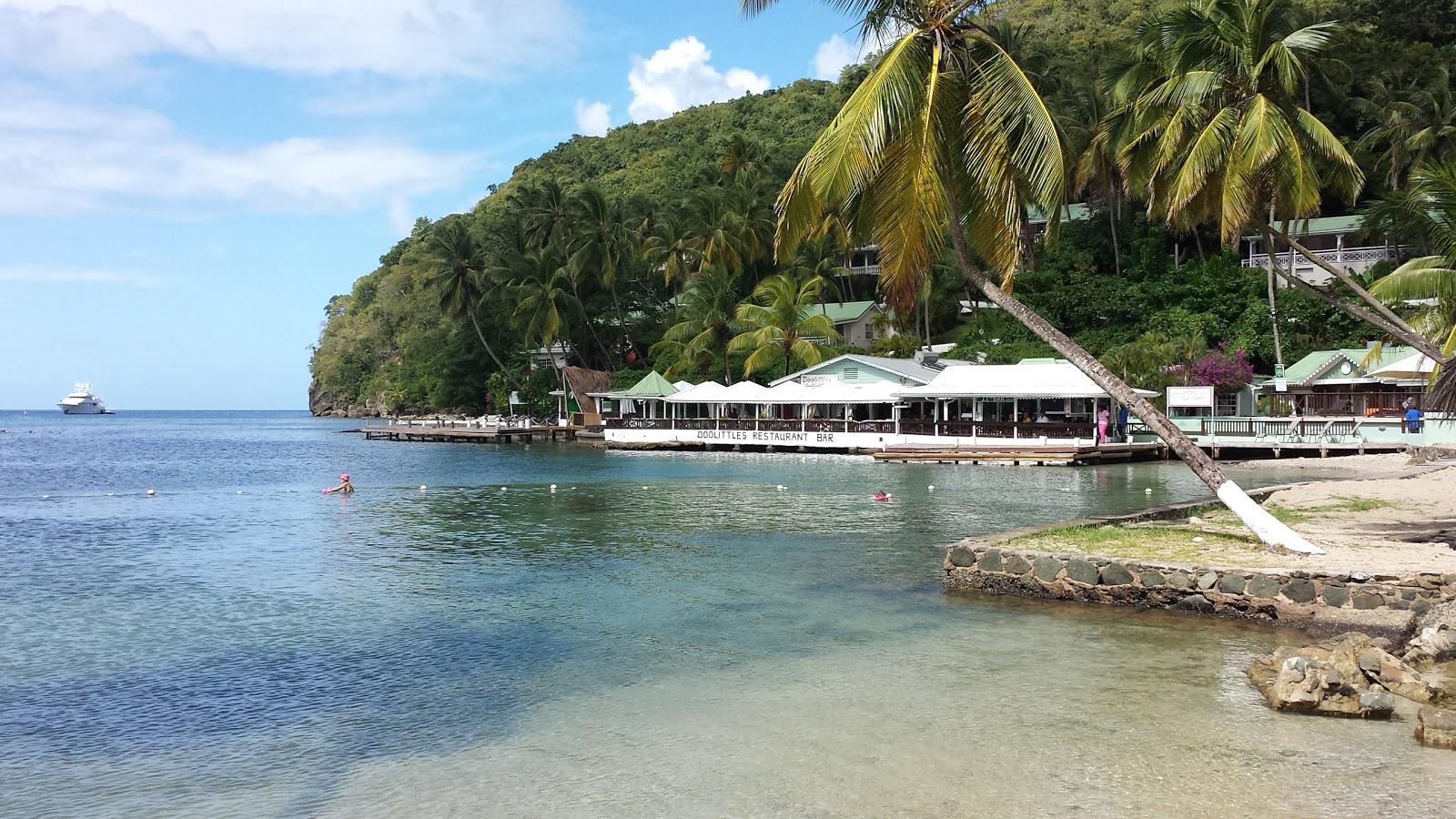 Roots beach