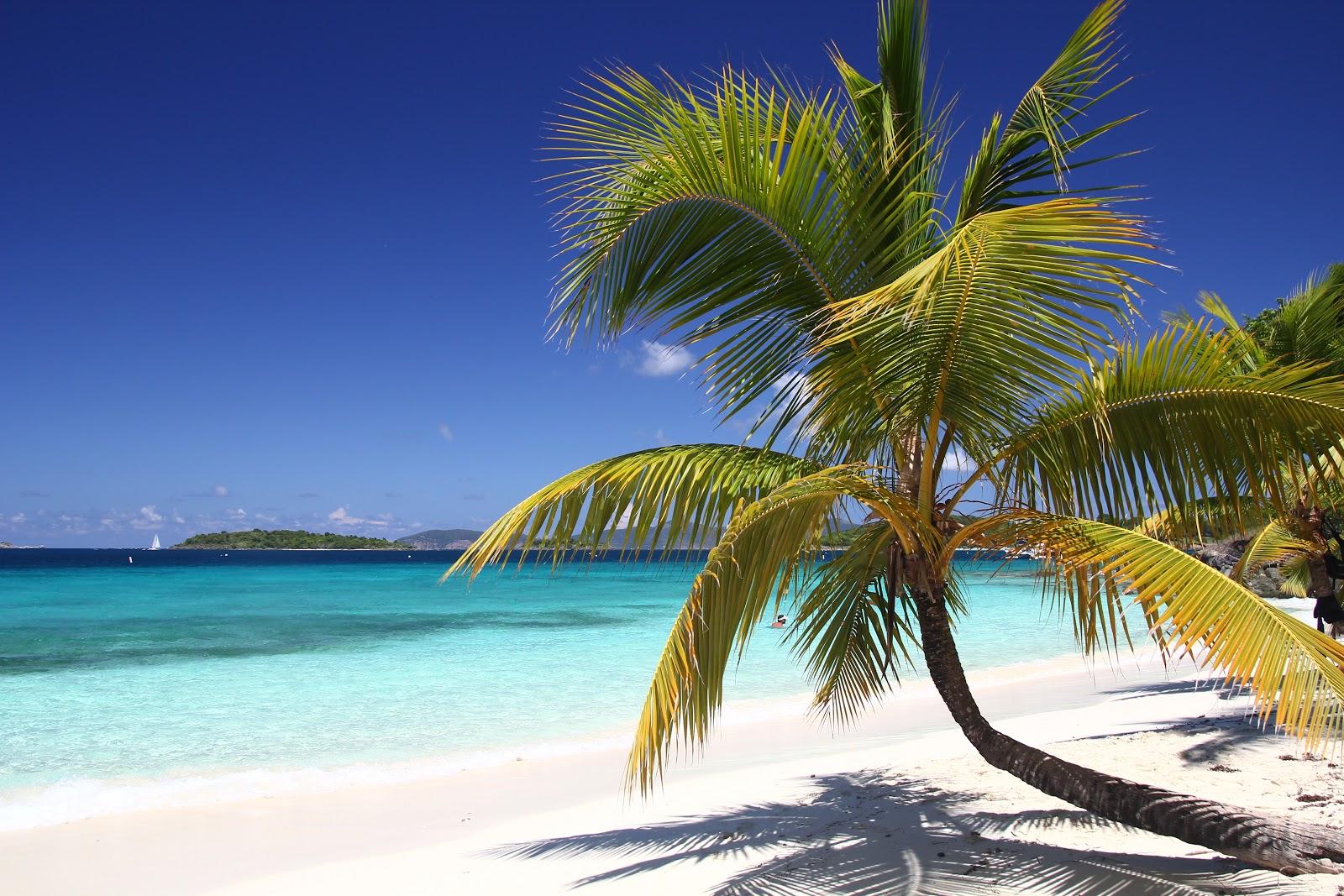 Salomon beach
