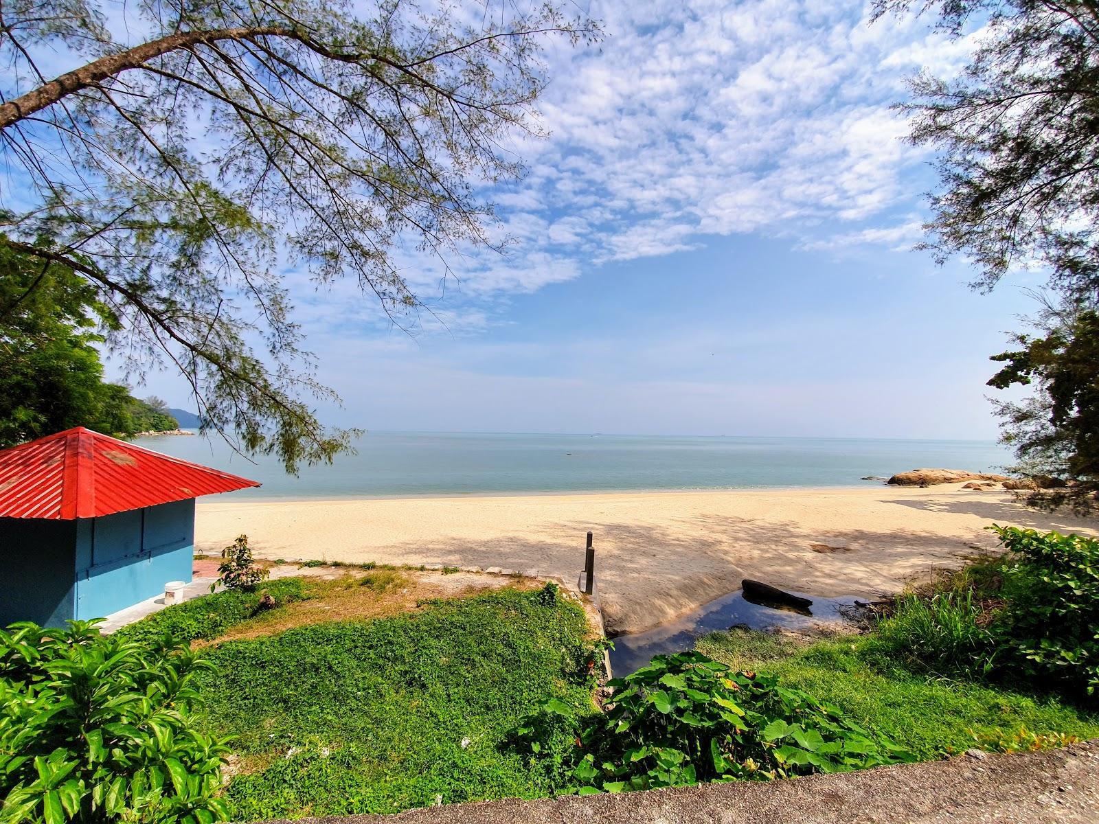 Tropical Beach