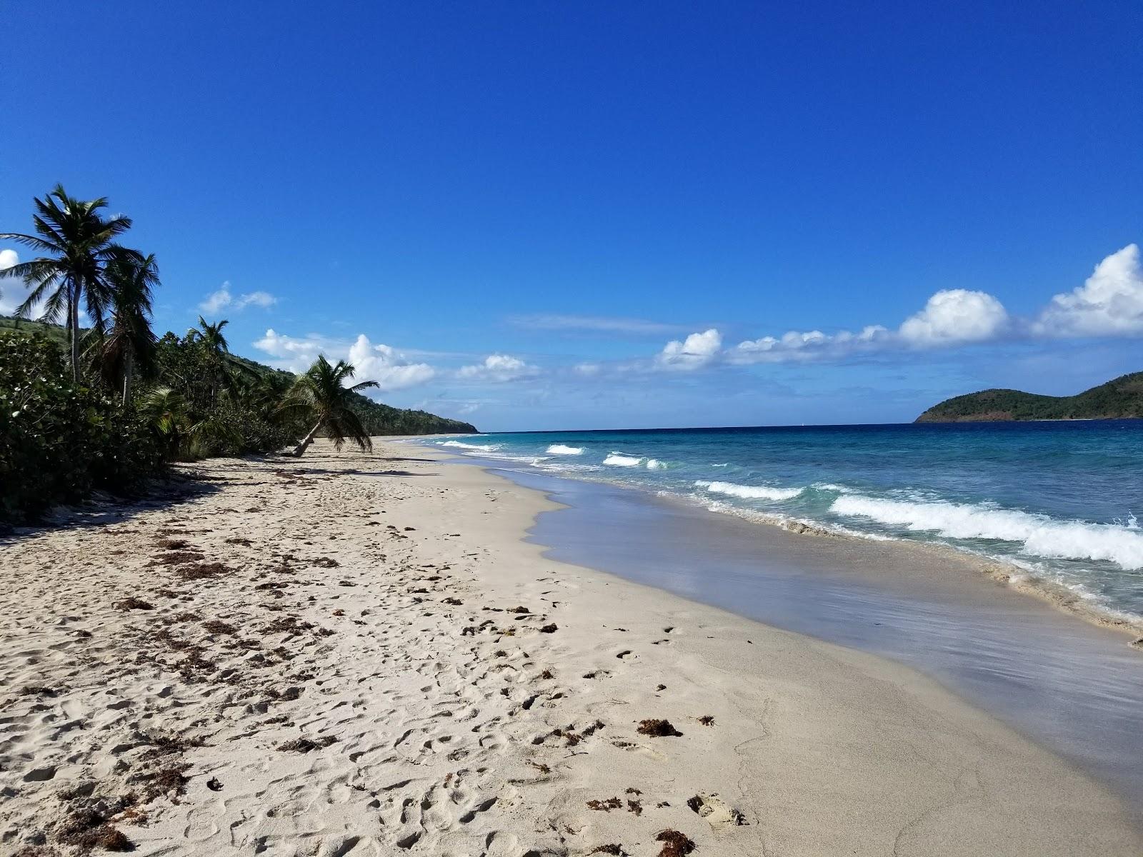Zoni beach