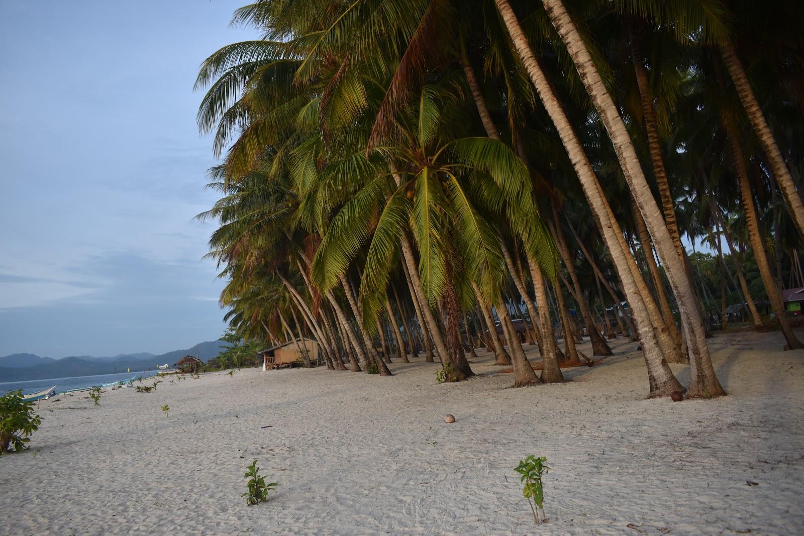 Sunrise CampSite Beach