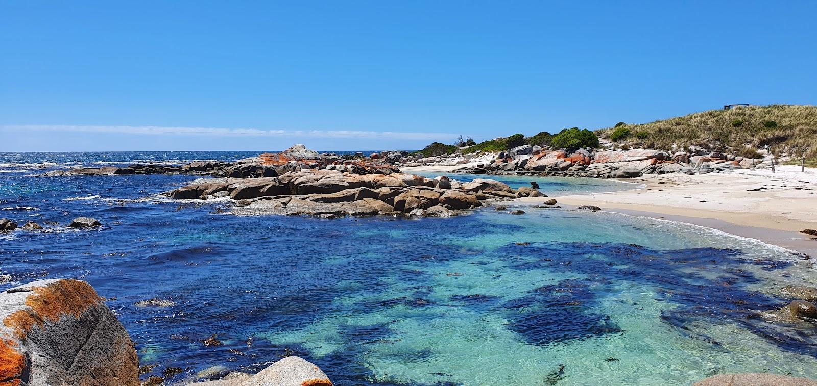 Koala Rock Beach