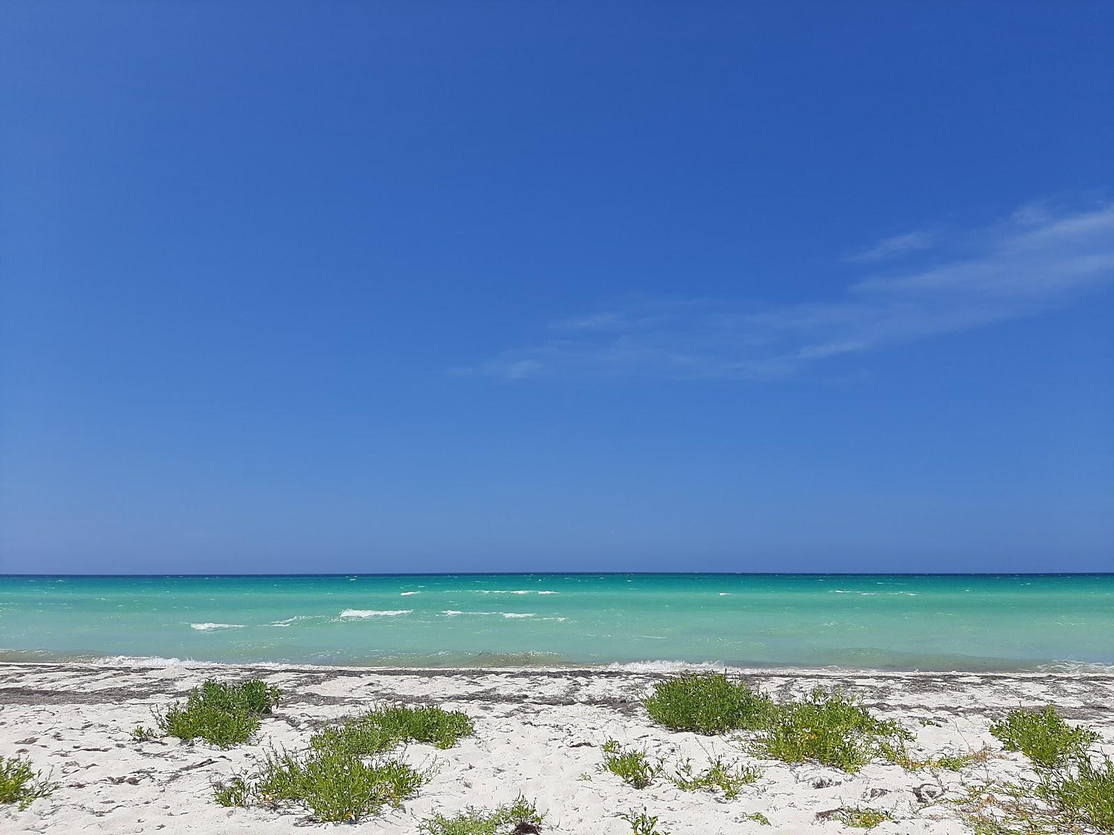 Playa Las Coloradas