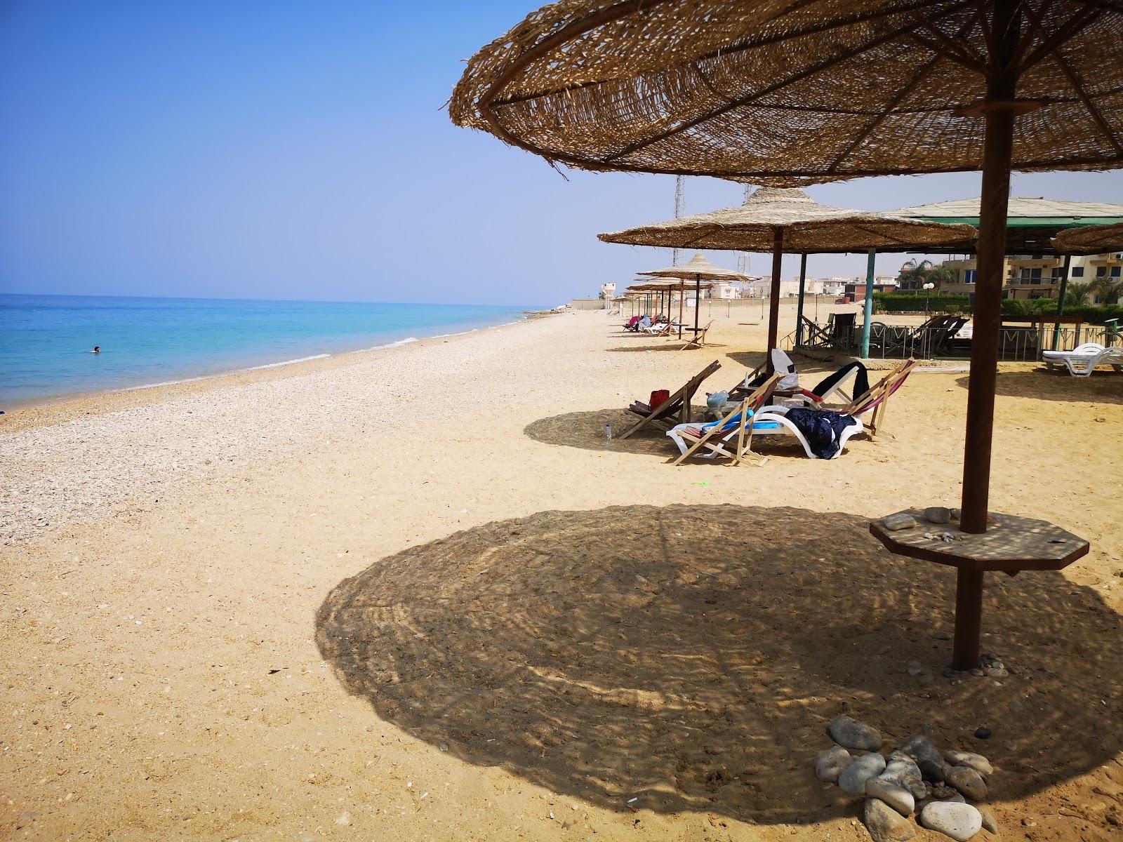 Dolphin Beach