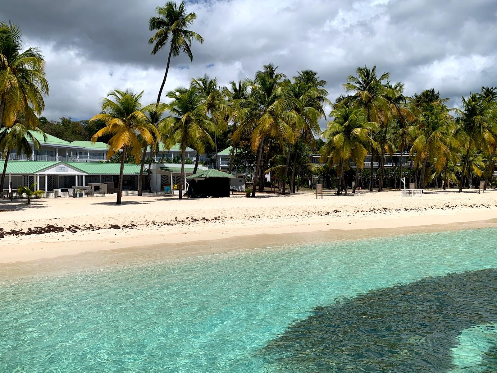 The Beach of Caravelle