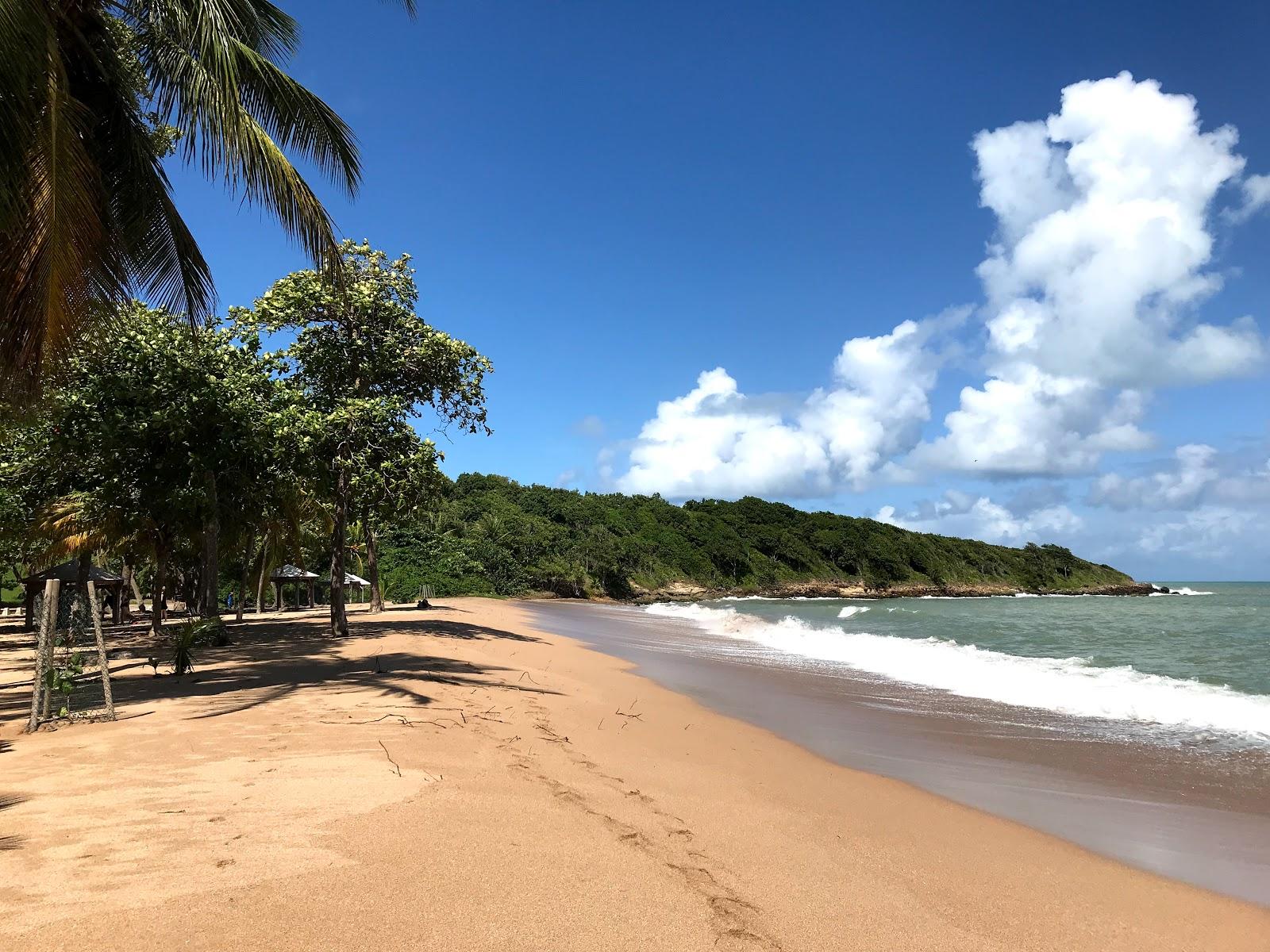 Plage des Amandiers