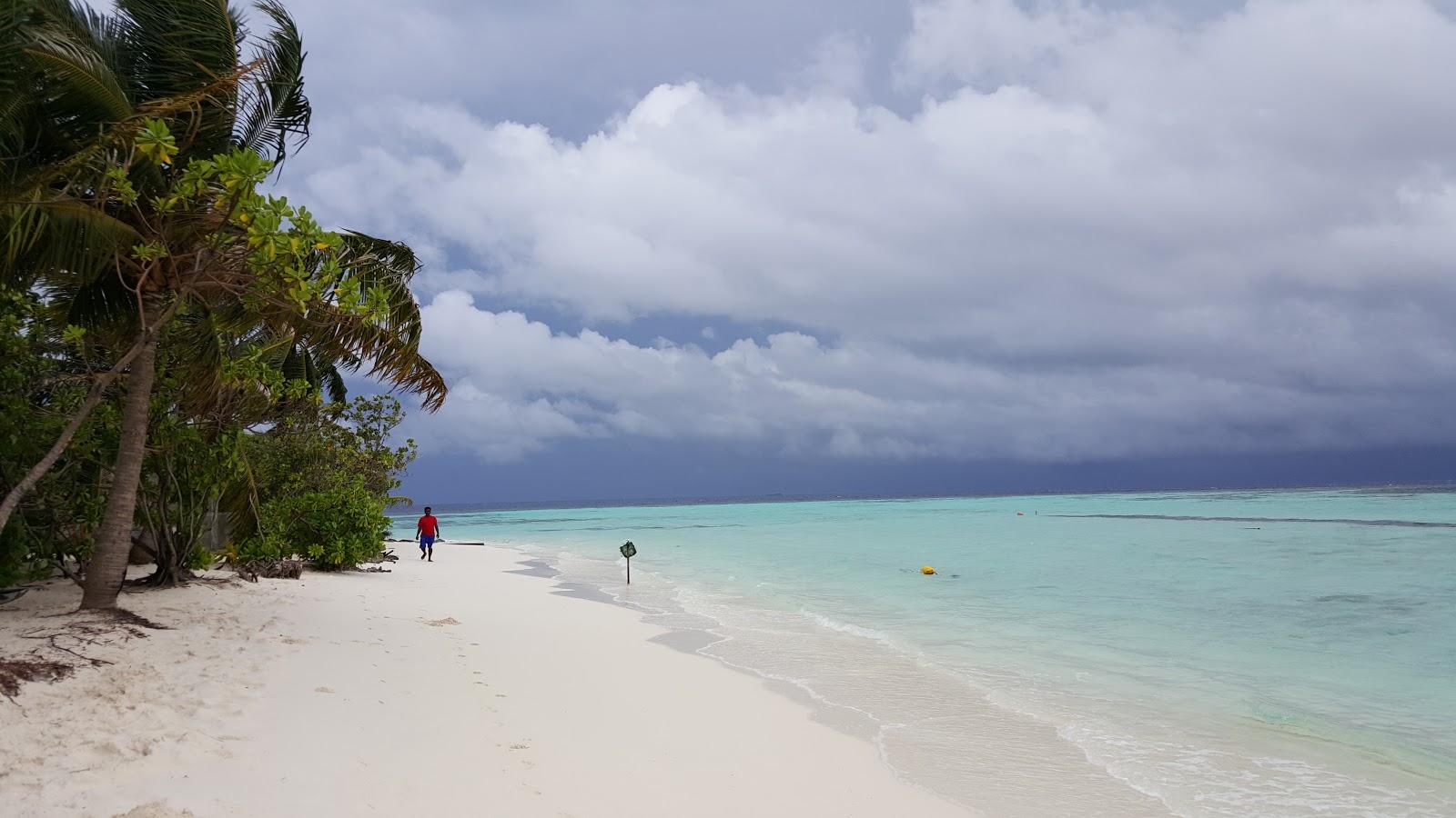 Back to Nature Resort