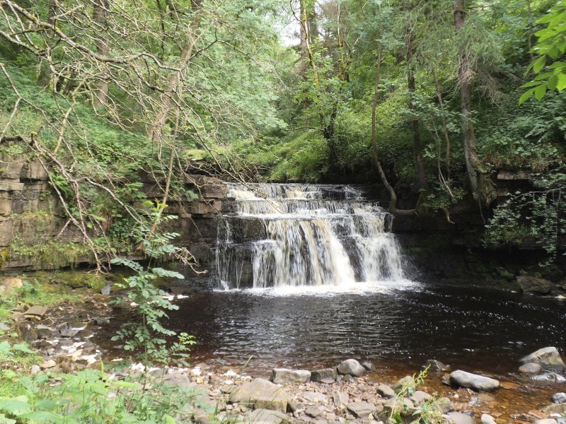 Ashgill Force
