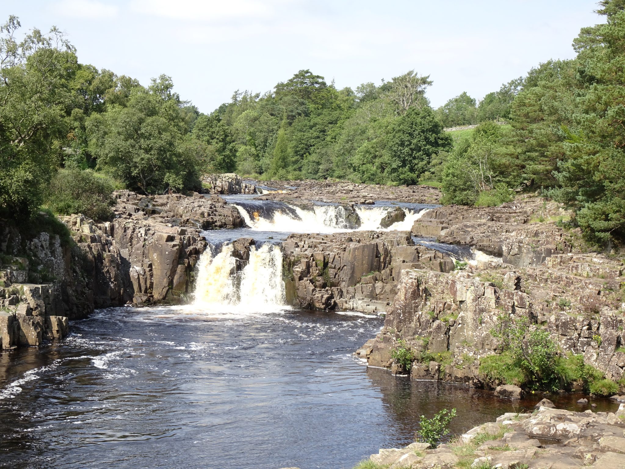Low Force, Tees