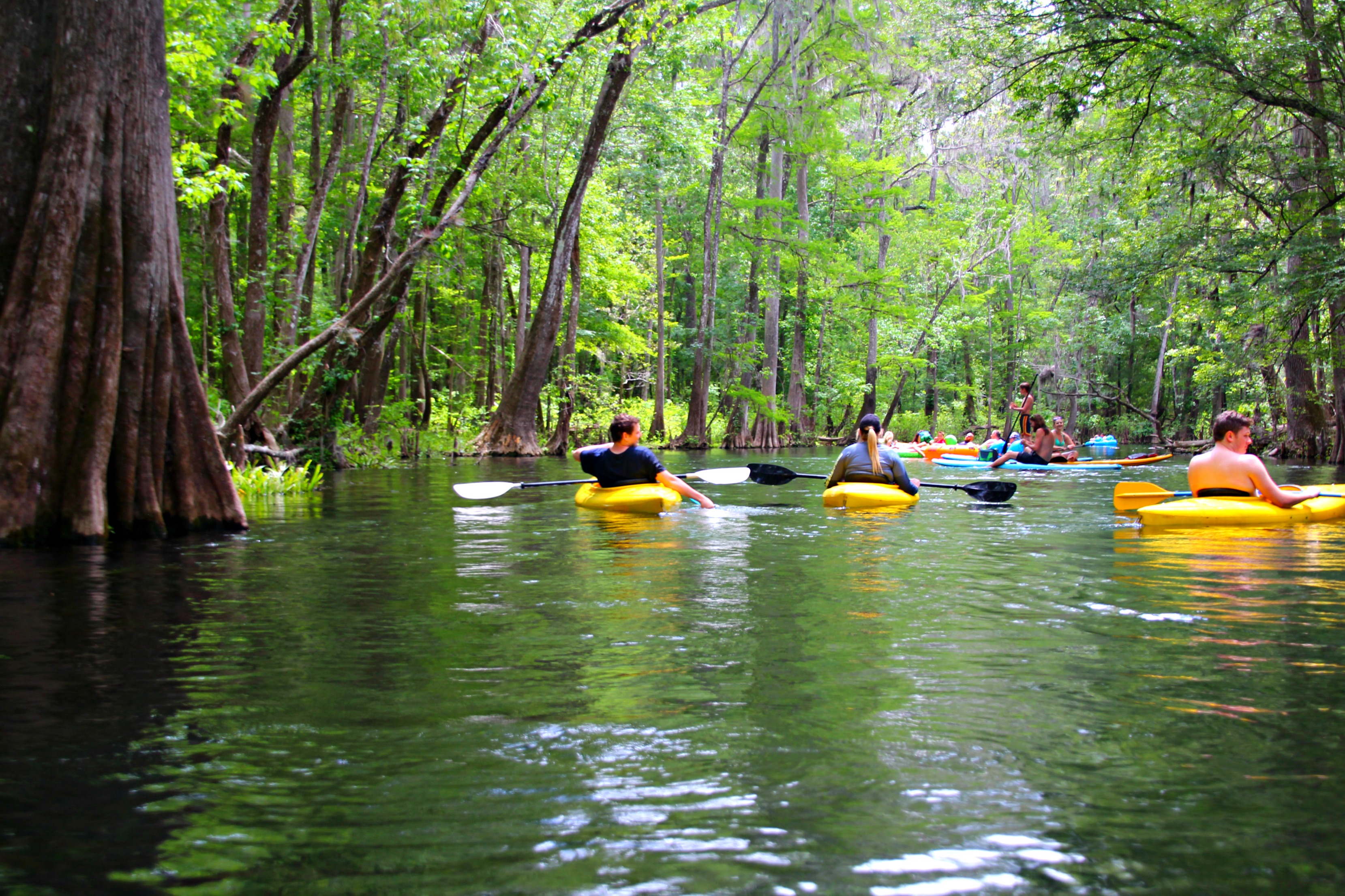 Ichetucknee Springs