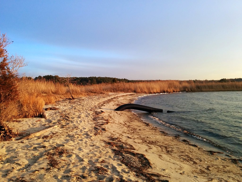 Claiborne Beach