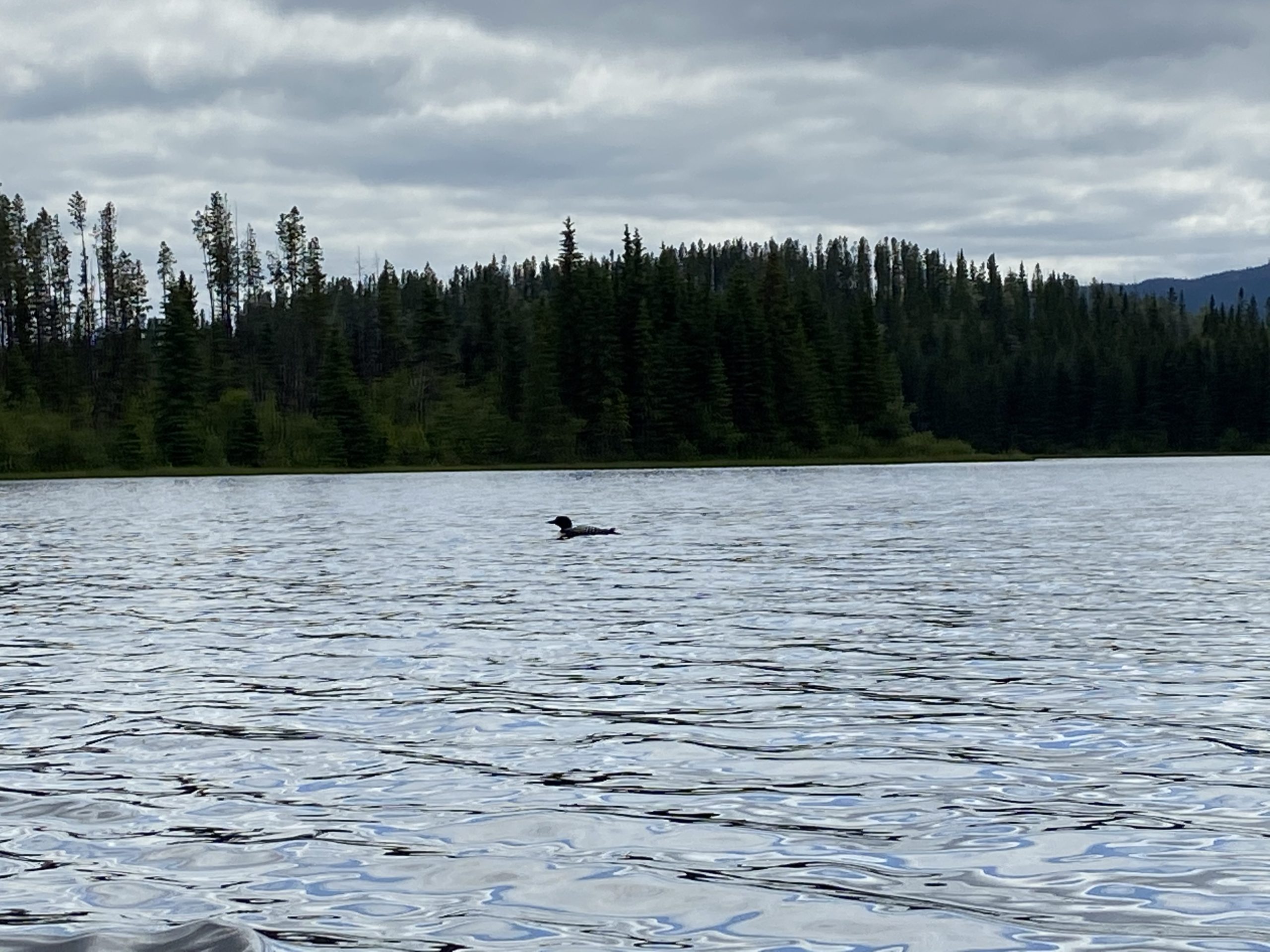 Co-op Lake