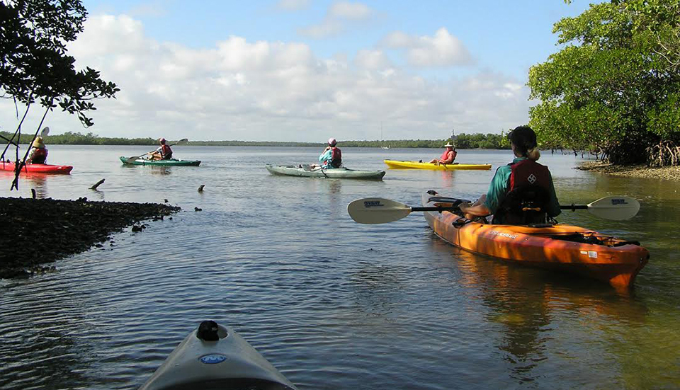 Coastal Georgia Canoeing Trail- Dark Entry