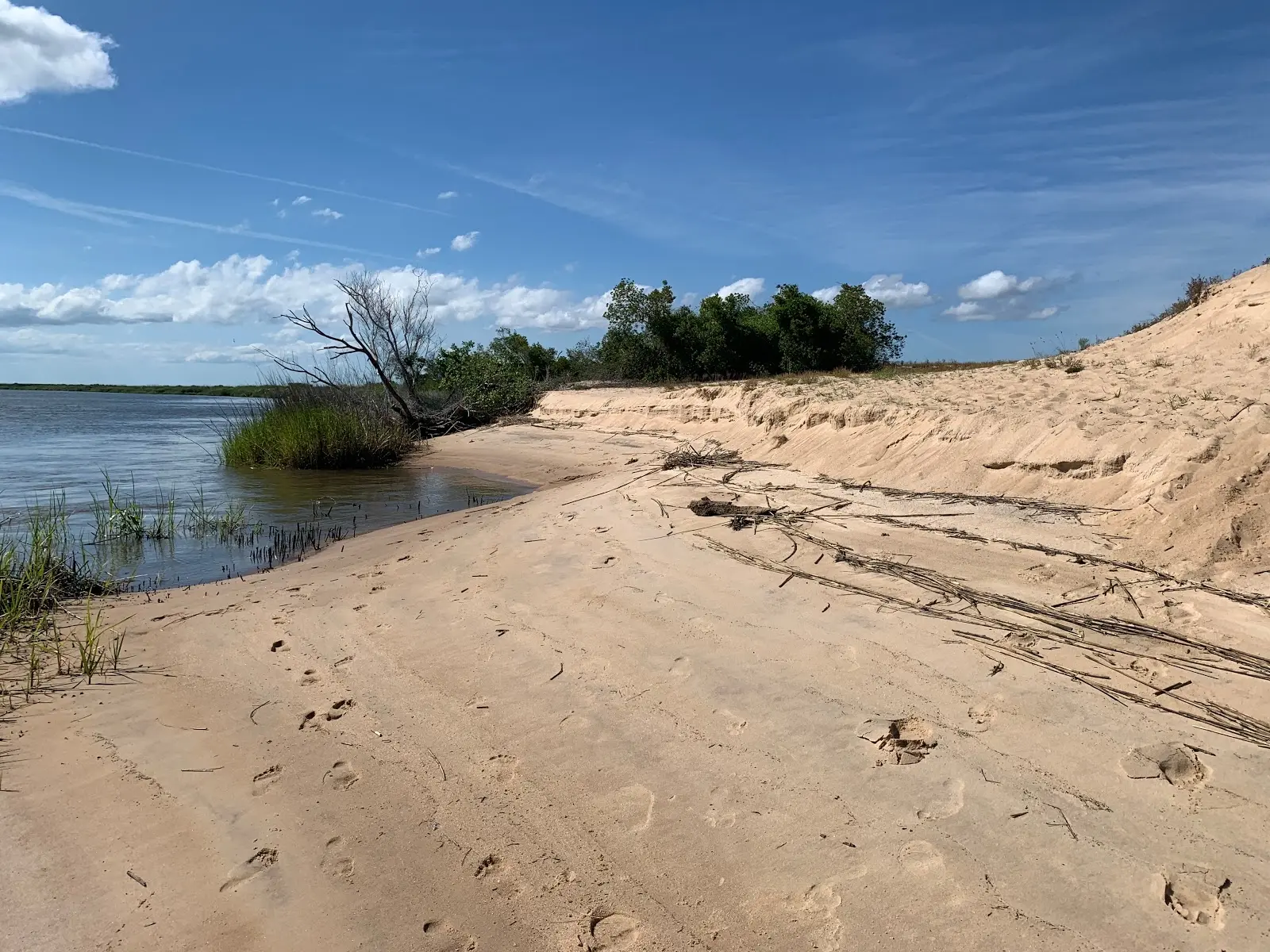Dallas Bluff Sandbar