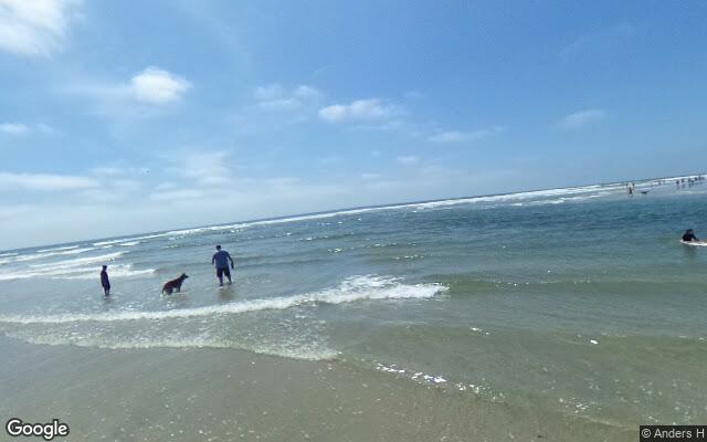 Del Mar Dog Beach