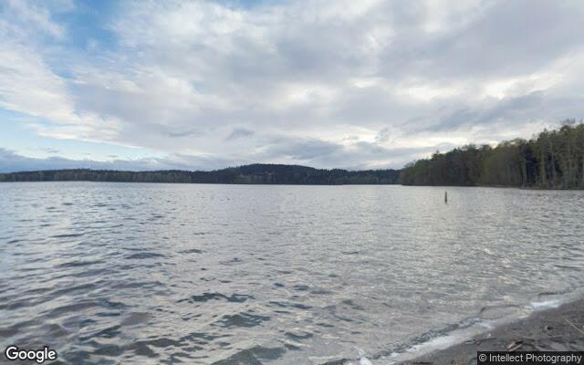 Elk Lake - Hamsterly Beach East