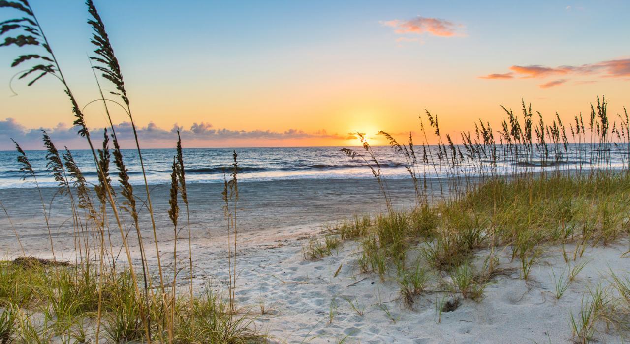 Amelia Island Plantation (AIP)