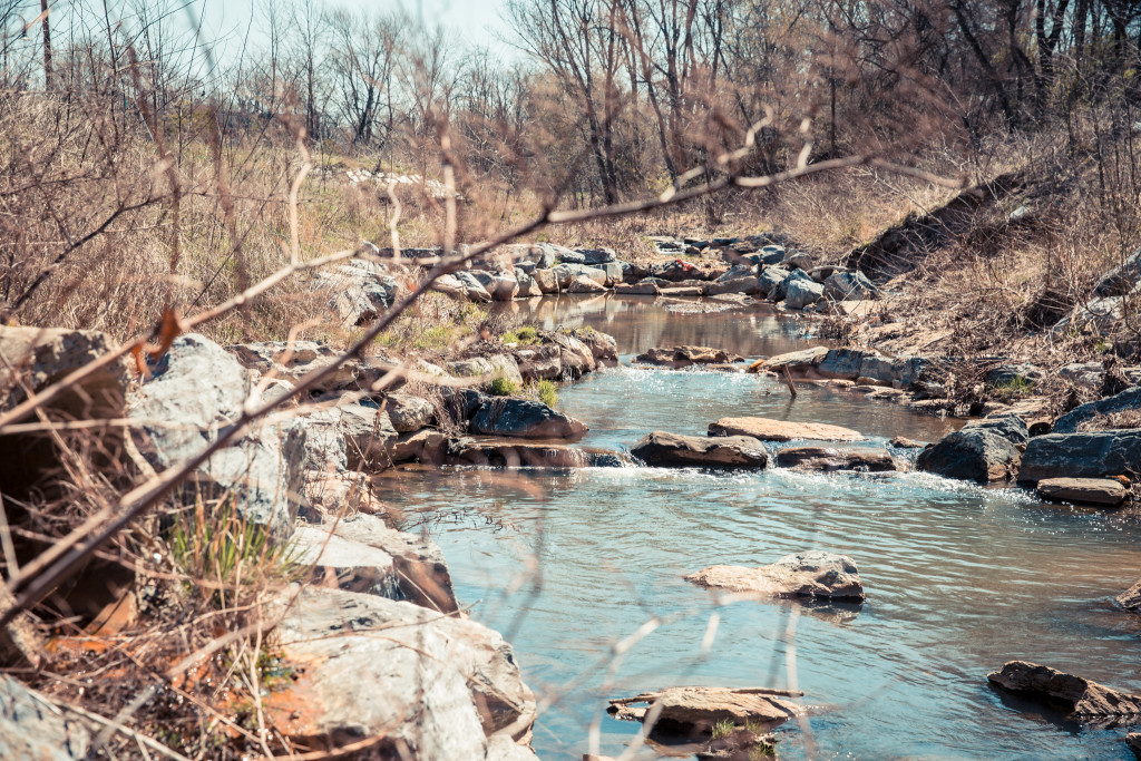 Watts Branch at Marvin Gaye Park