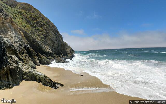 Gray Whale State Beach